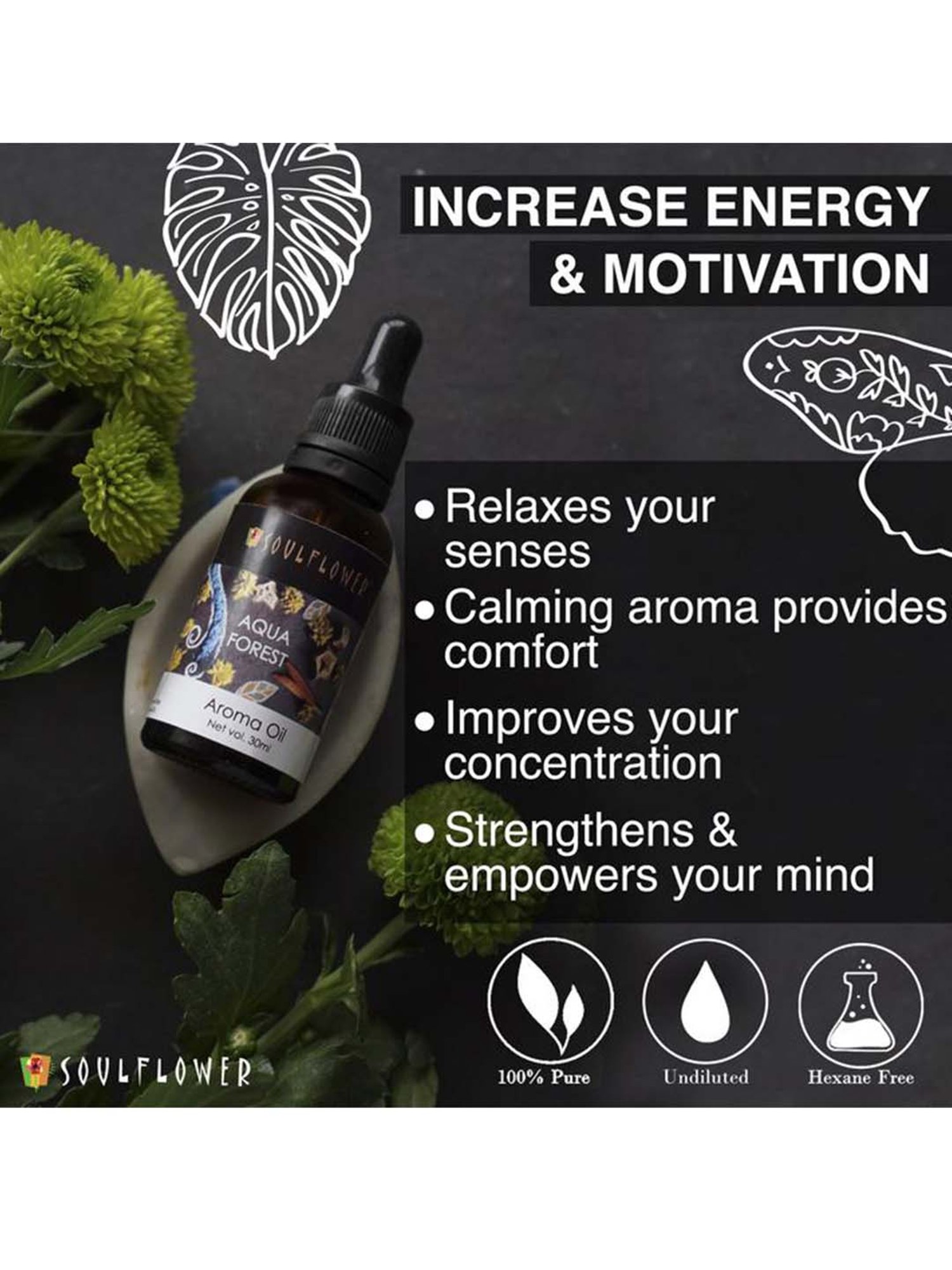 Soulflower Aqua Forest Aroma Oil (30 ml) - Set of 1
