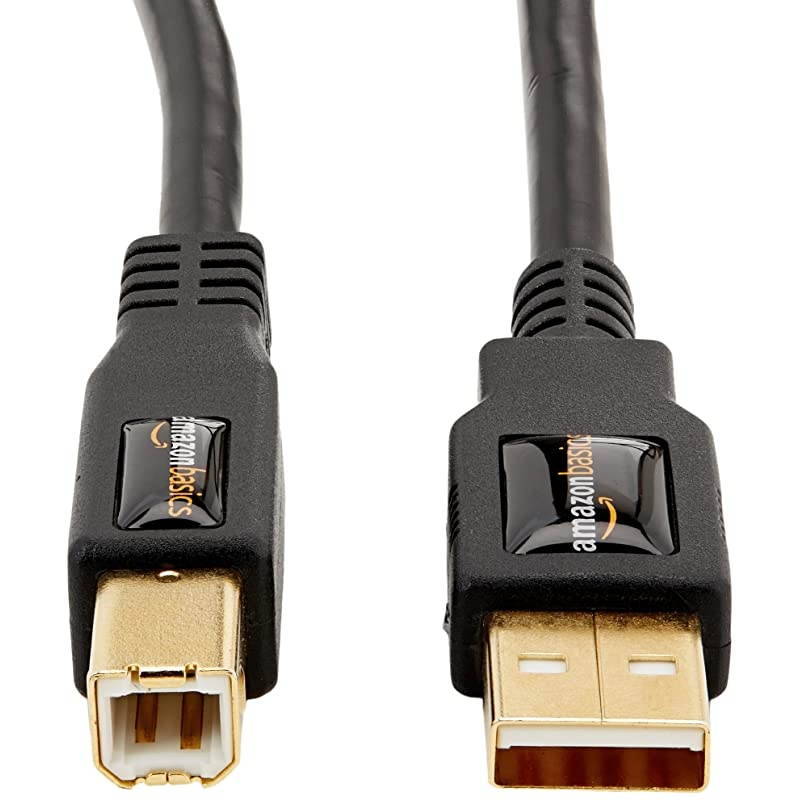 Basics USB 2.0 Printer Type Cable - A-Male to B-Male - 16 Feet (4.8 Meters)