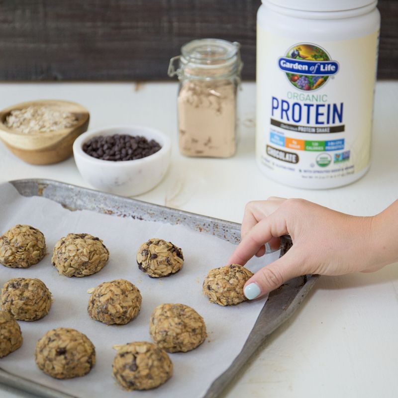 Garden of Life Organic Vegan Protein Powder - Chocolate - 19.2oz