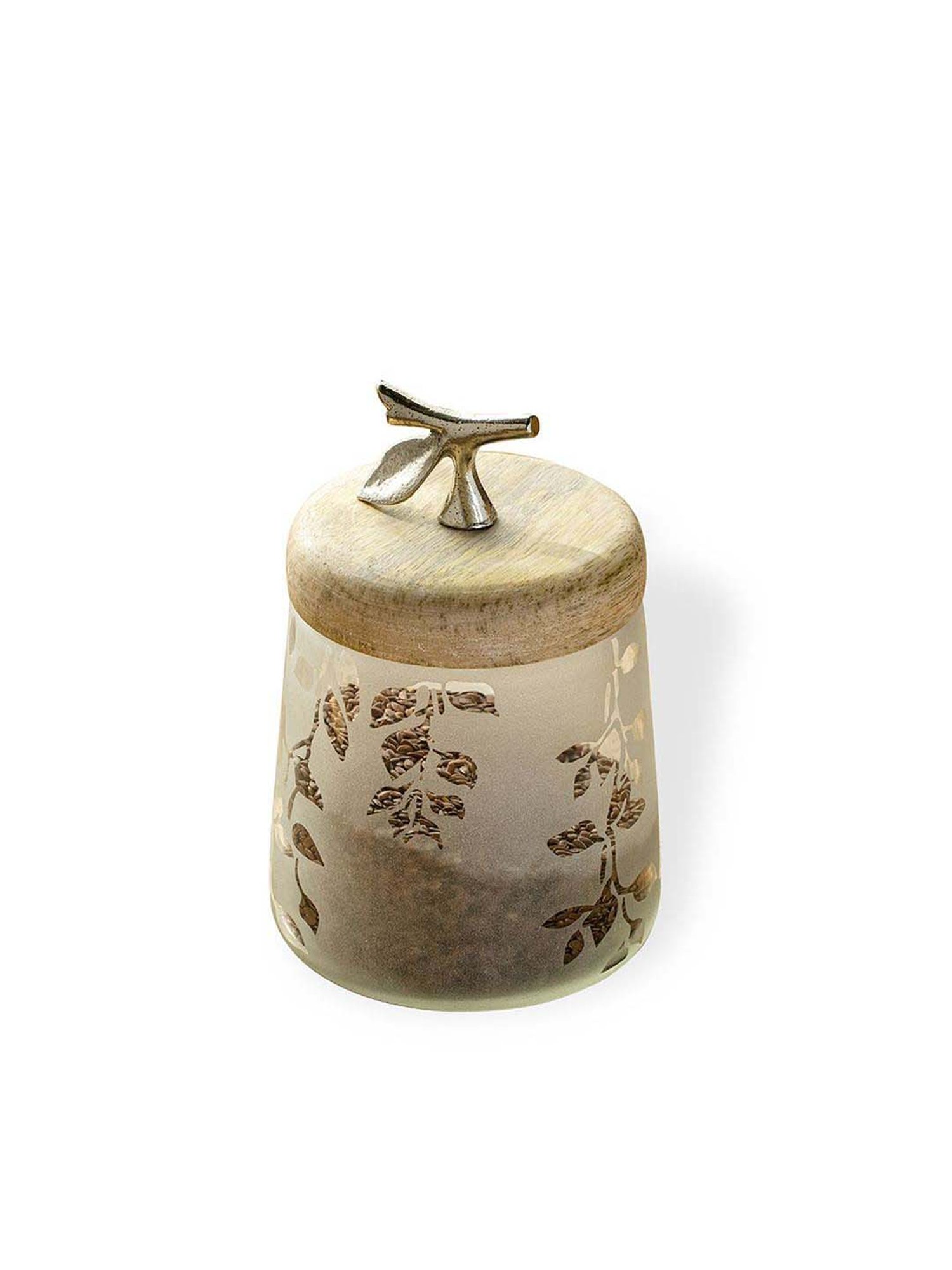 ellementry Twiggy Frosted Transparent Glass Jar with Lid (1000 ml) - Set of 1