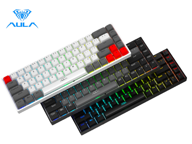 Aula F3068 68 Keys Bluetooth+Wired Dual Mode RGB Mechanical Keyboard Hot Swappable Switch Full keys Anti-ghosting Cool Backlight Effect for Pc Laptop Offical Computer