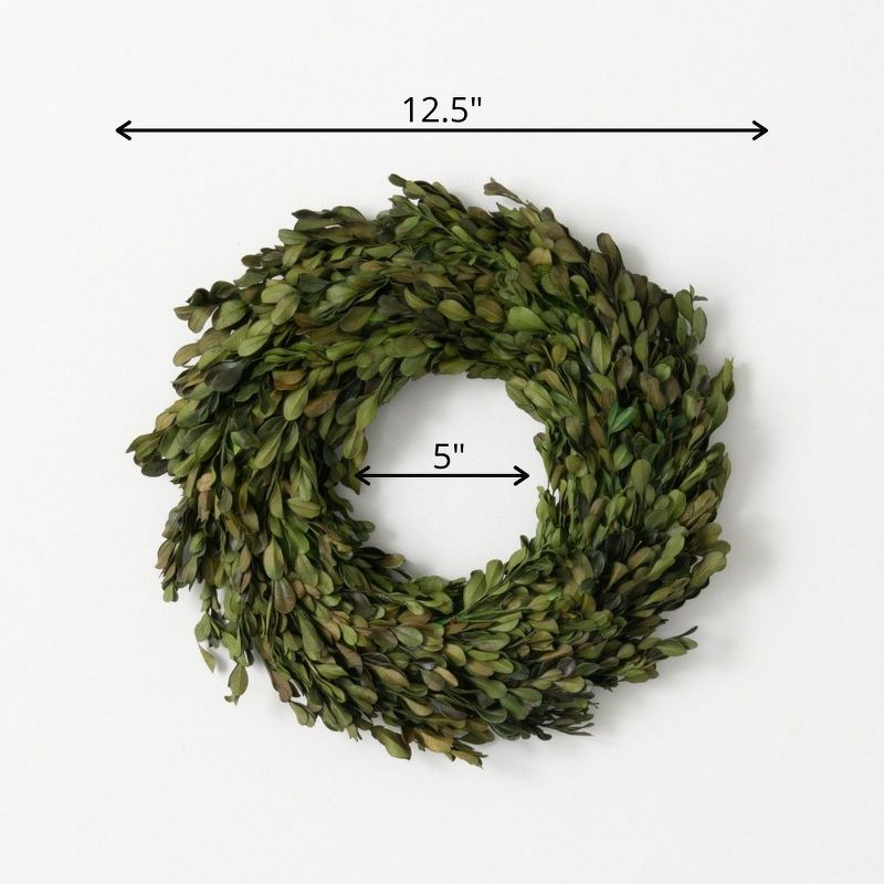 Sullivans Boxwood Artificial Wreath 12.5"H Green