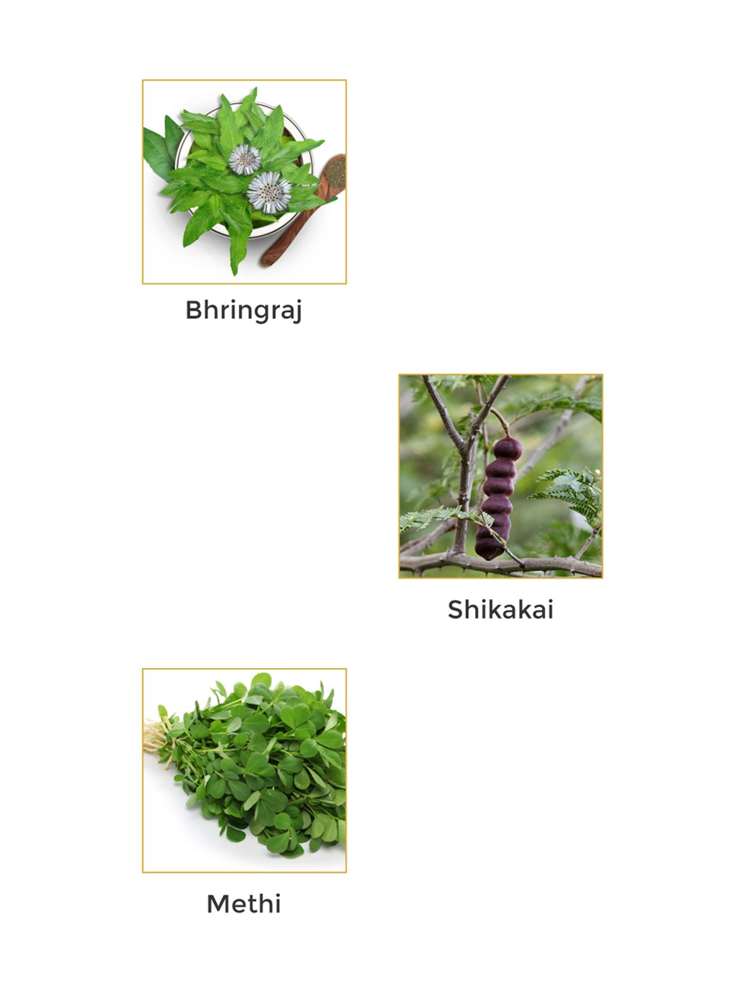 Vegetal 10-in-1 Complete Care Shampoo - 200 gm