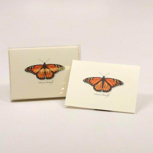 Monarch Butterfly Boxed Note Cards-- Set of 8