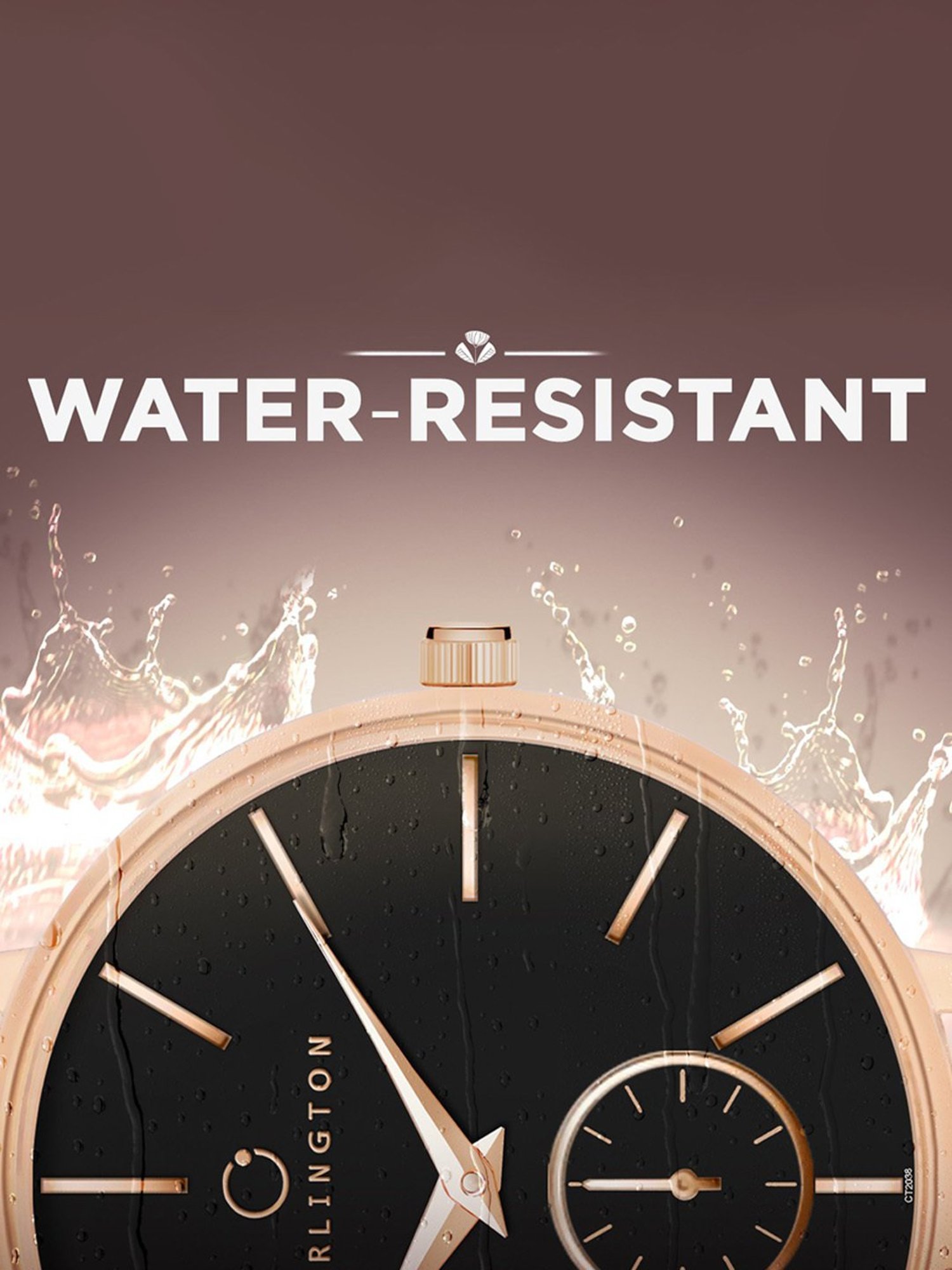 Carlington Iconic 2038 RoseBlack Analog Watch for Women