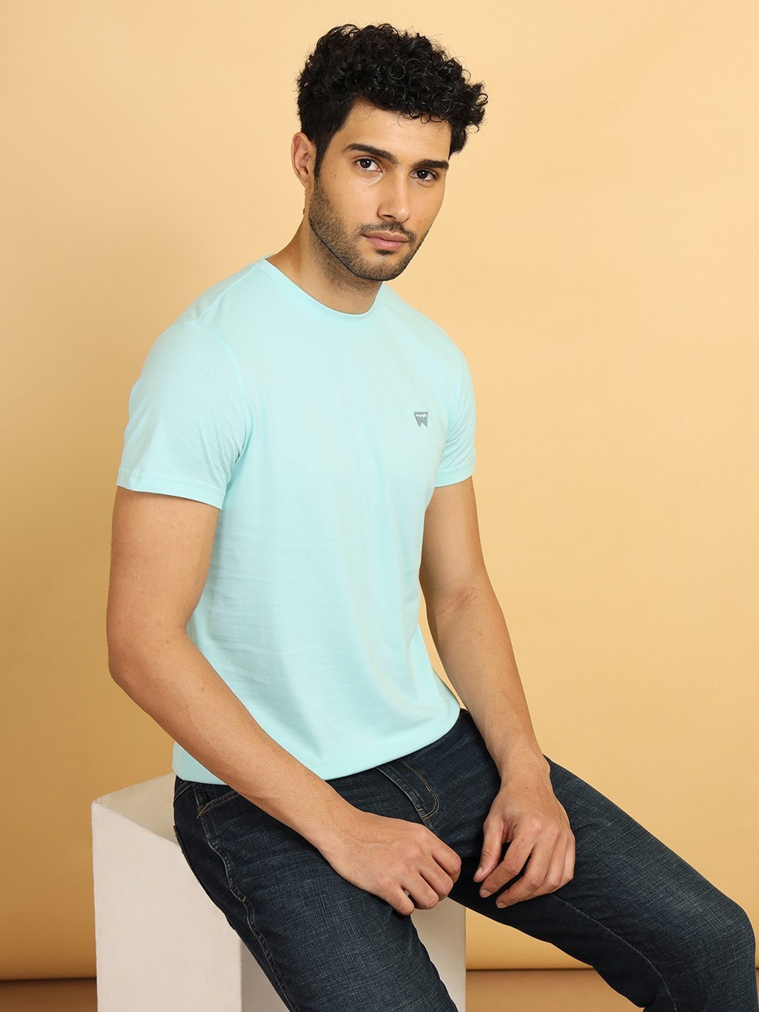 Wrangler Icy Morn Cotton Regular Fit T-Shirt