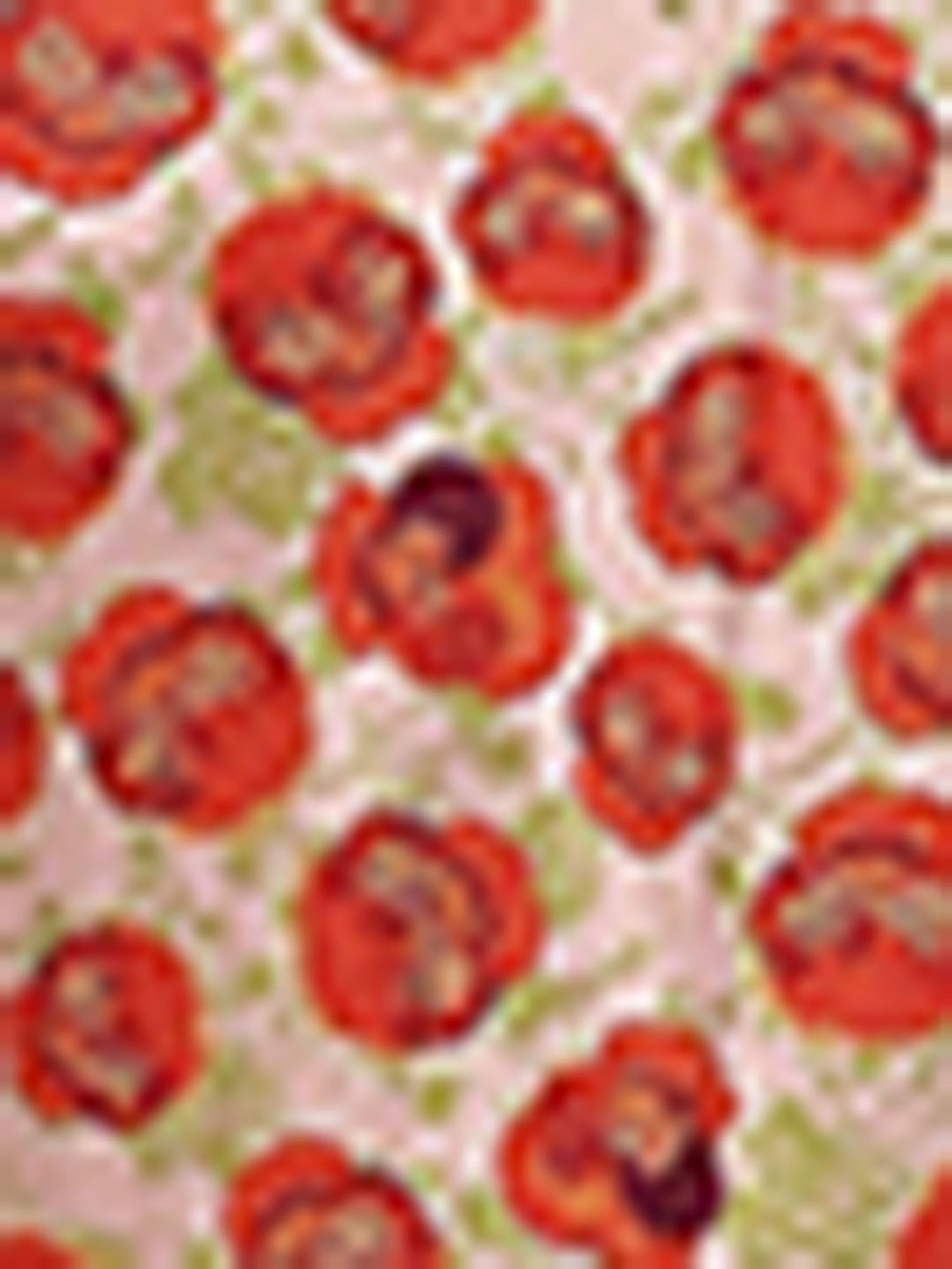 Biba Girls Orange Floral Print Suit Sets