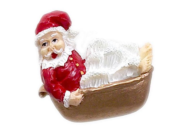 Carnation Home Fashions "Holiday Bath" Resin Shower Curtain Hooks Set of 12 - Multicolor