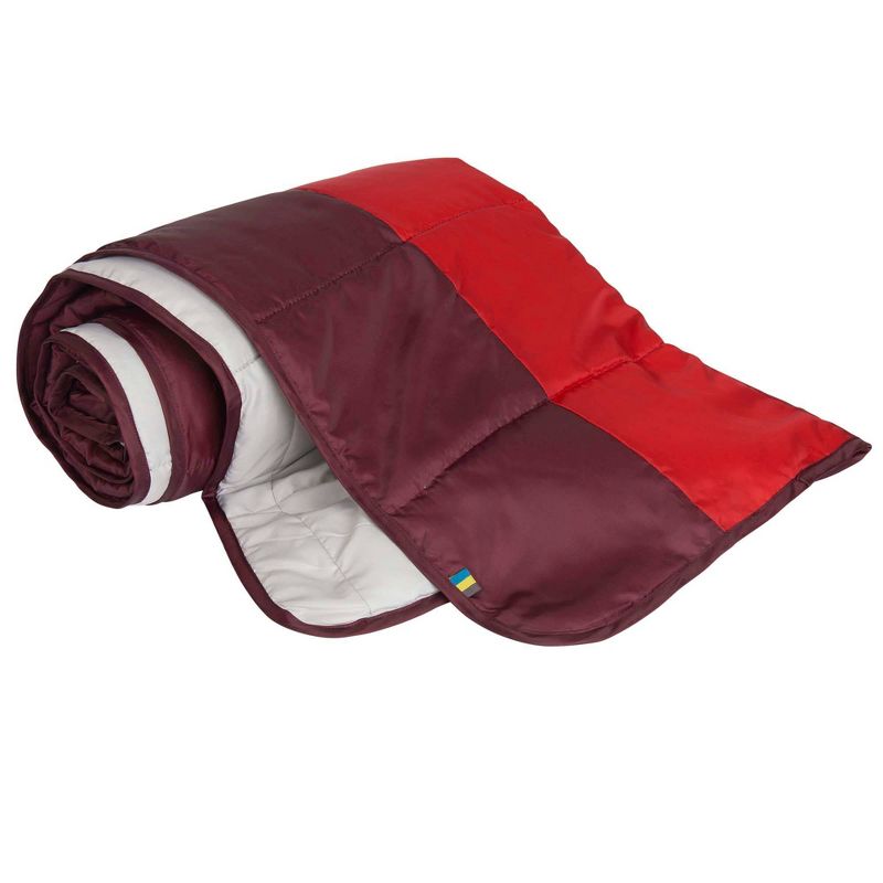 Ninola Design Fresh flowers Pink Picnic Blanket - Deny Designs