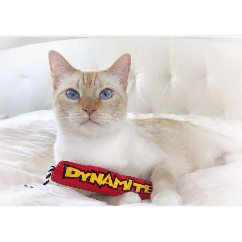 Petstages Green Magic Dynamite Stick Cat Toy