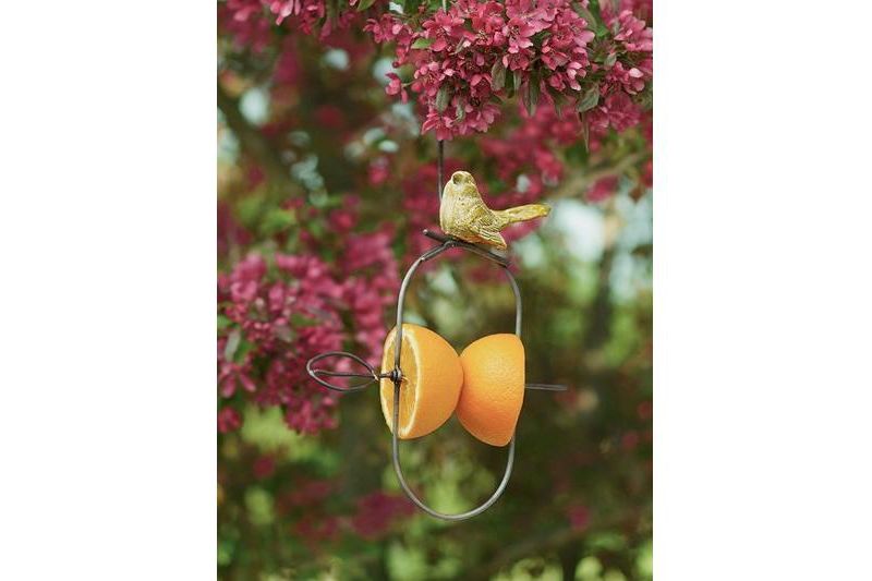 Fruit Feeder - ANCIENT GRAFFITI