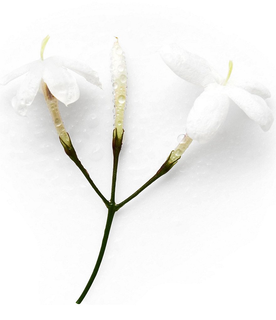 Giorgio Armani ARMANI beauty Acqua di Gioia Eau de Parfum Spray