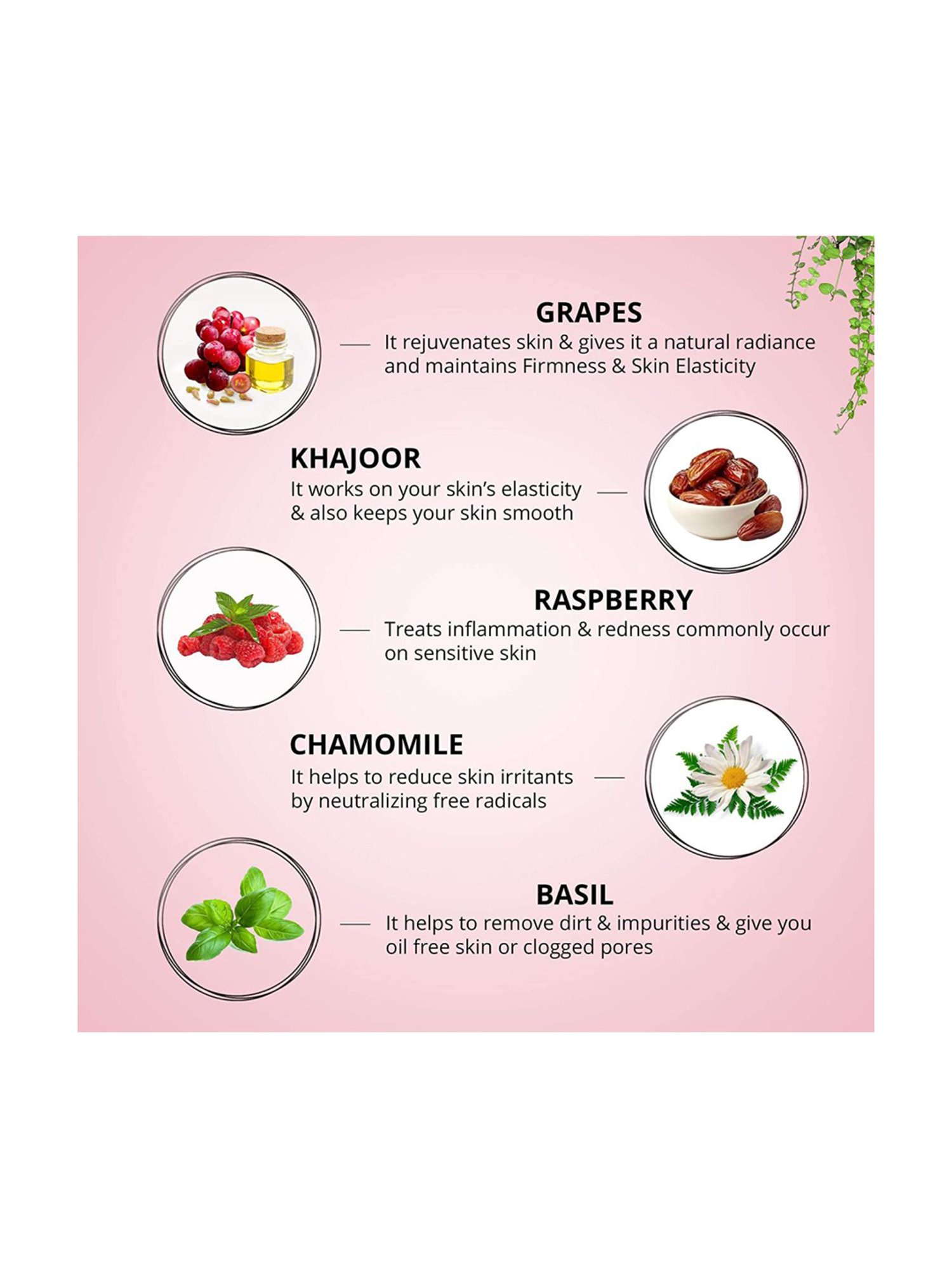 Aryanveda Wine Spa Facial