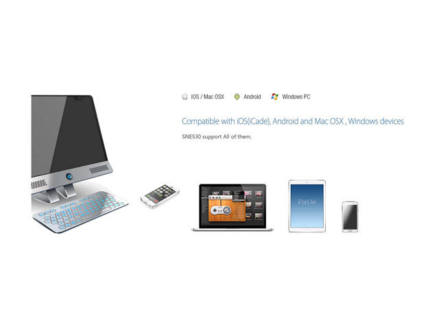 8Bitdo Lite Bluetooth Gamepad for Nintendo Switch Lite, Nintendo Switch & Windows (Turquoise Edition)