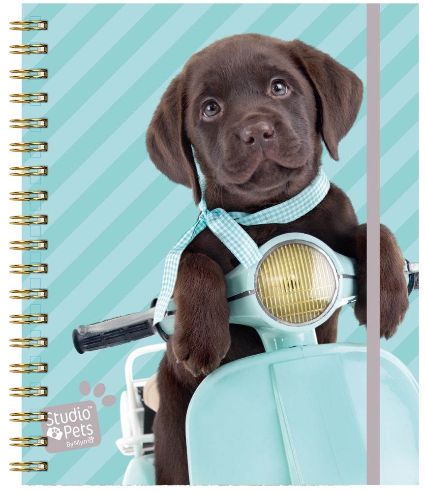 Turner Licensing,  Puppies Perpetual Calendar by Studio Pets