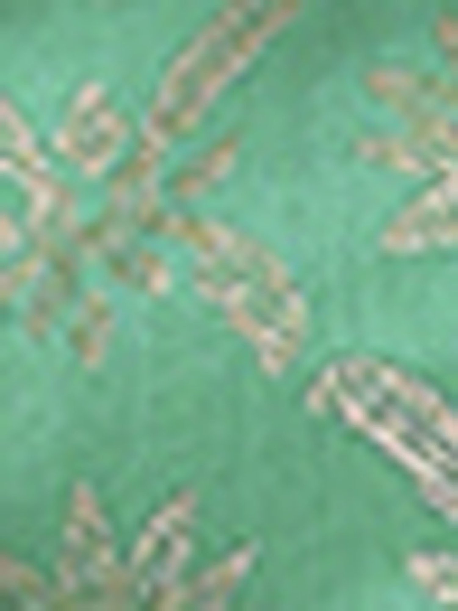 Biba Girls Green Floral Print Suit Sets