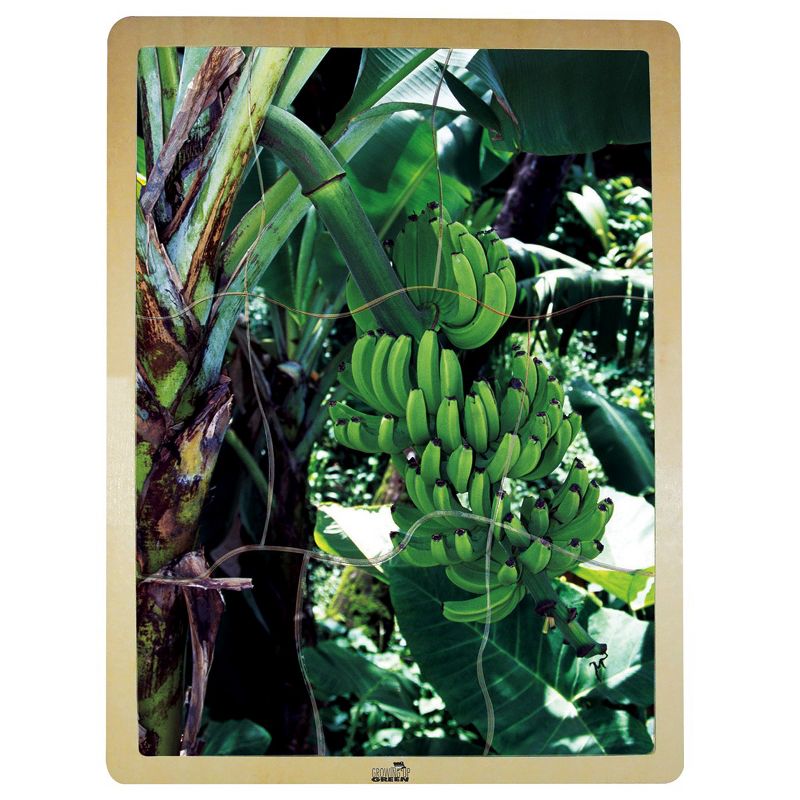 MOJO Fresh Fruits Puzzles - Set of 6 Puzzles - Promote Healthy Living and Healthy Eating