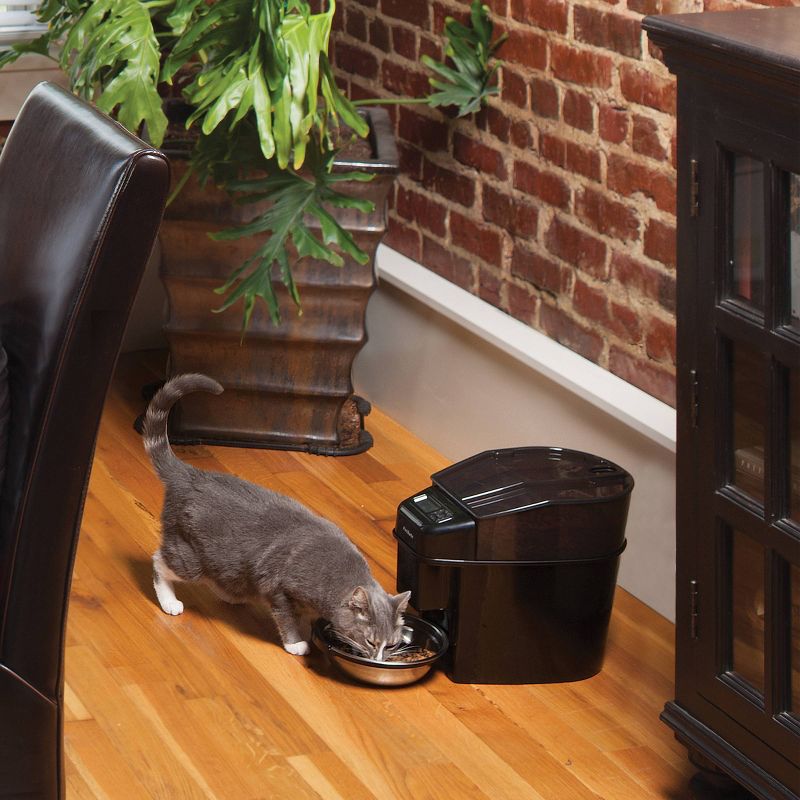 PetSafe Healthy Automated Pet Feeder for Cats and Dogs - Black