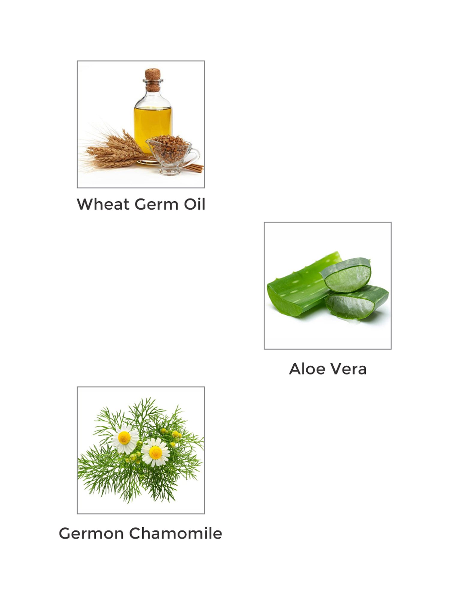 Vegetal Softlite Creamy Lotion - 90 gm