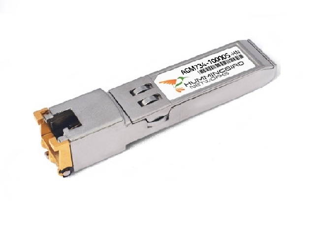 NETGEAR ProSAFE 1000Base-T SFP RJ45 GBIC  (AGM734-10000S)