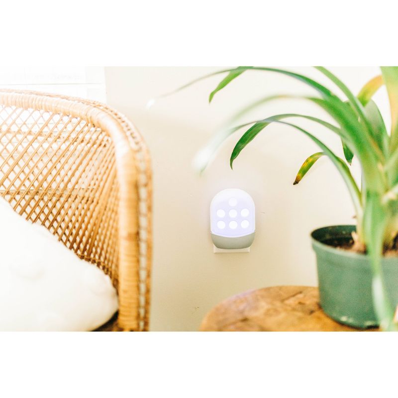 Zevo Flying Insect Trap Starter Kit