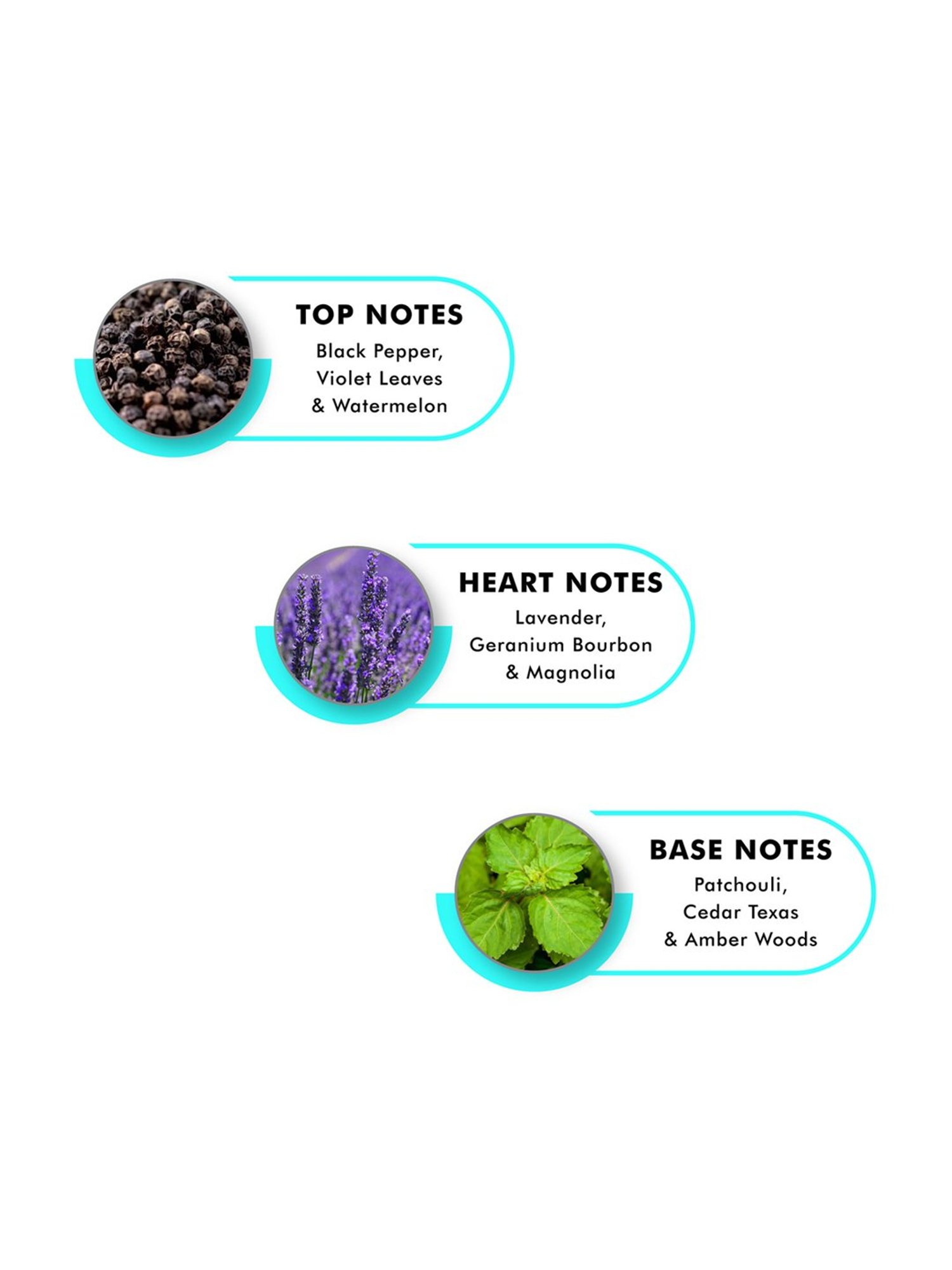 Hollister Canyon Rush Eau de Toilette for Him - 100 ml