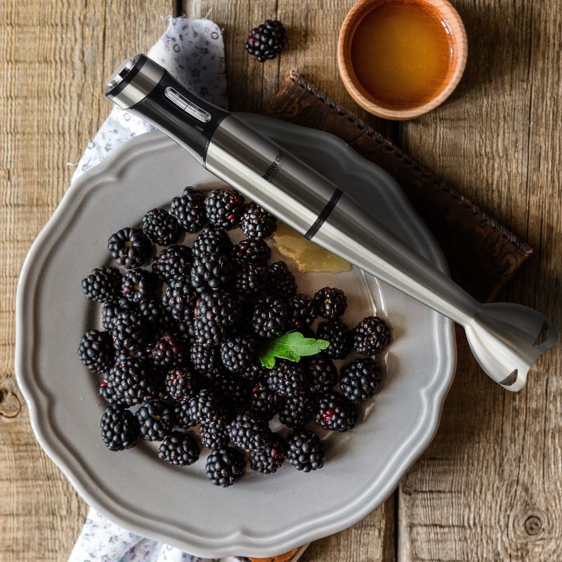 Better Chef Immersion Blender in Silver
