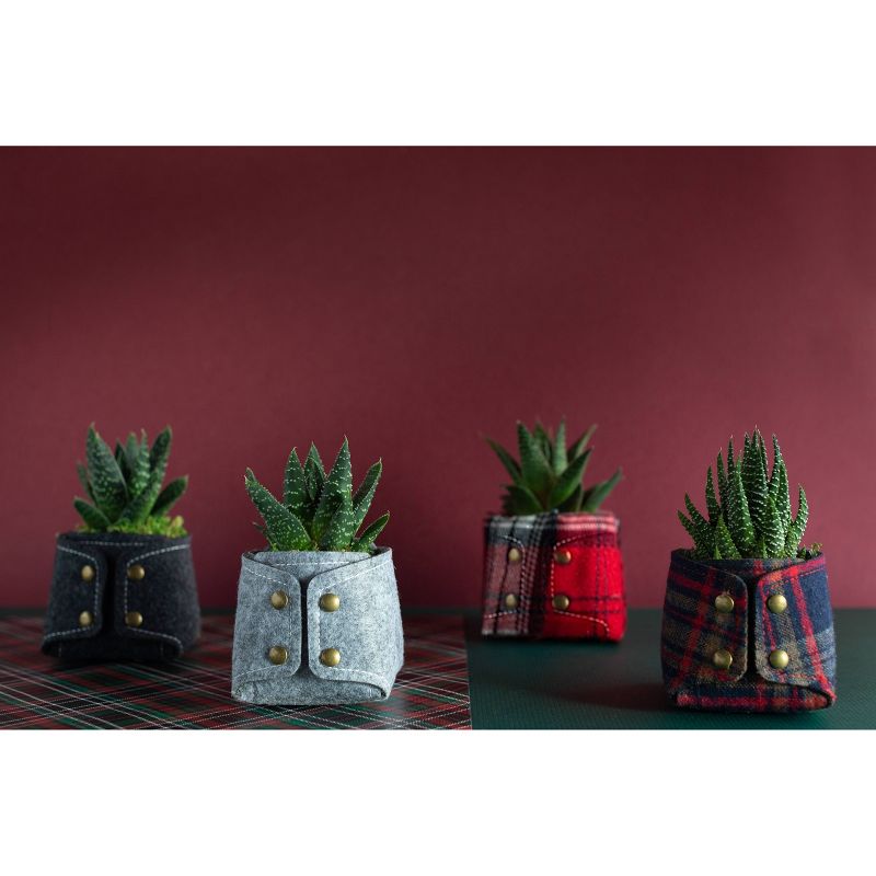 LiveTrends Grandpa's Sweater - 4pk