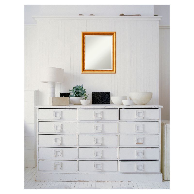 20" x 24" Townhouse Wood Framed Wall Mirror Gold - Amanti Art