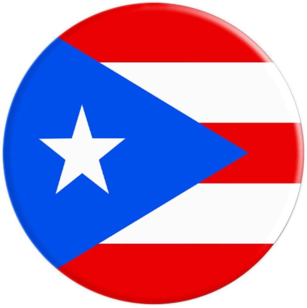Puerto Rico Flag Se Levanta Stand Up Boricua Pride