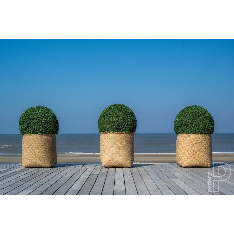 Large Boxwood Indoor/Outdoor Round Artificial Plant Green - Pottery Pots