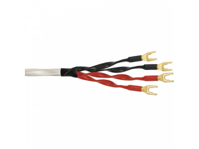 Wireworld speaker cable-by-wiring 2m- Solstice 8