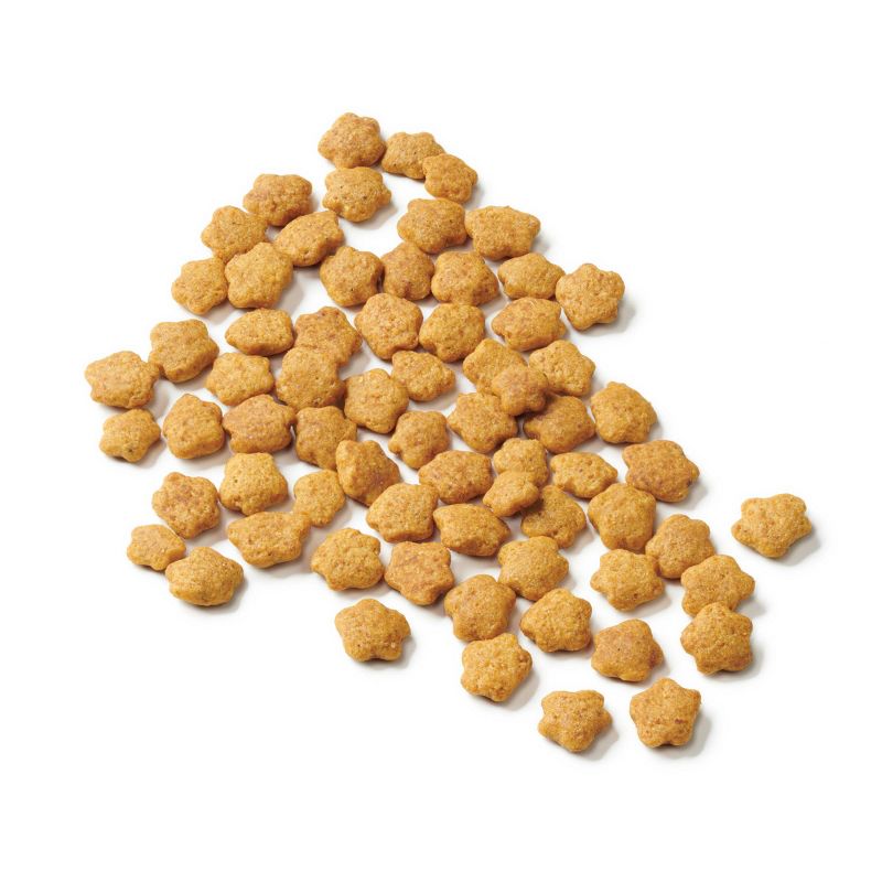 Purina Cat Chow Gentle with Chicken Adult Complete & Balanced Dry Cat Food - 6.3lbs