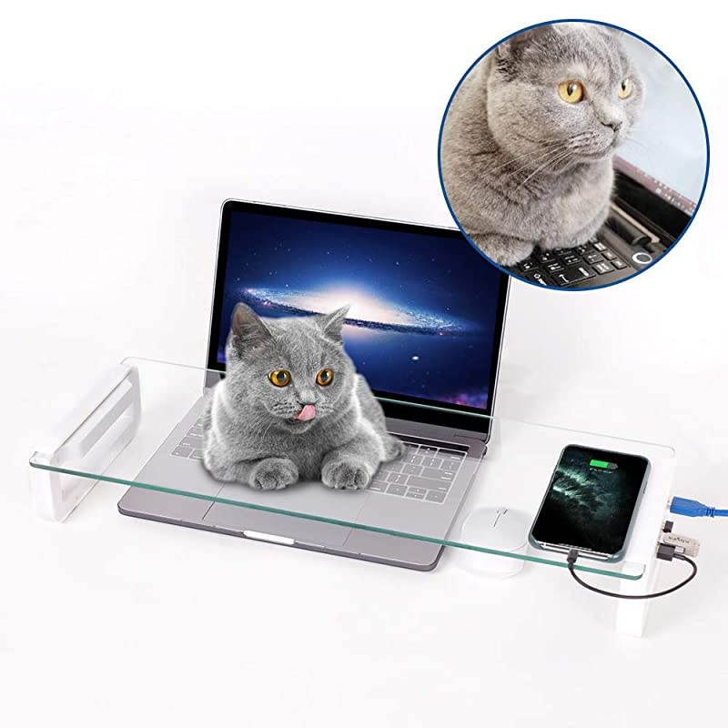 Stand Riser, 4-Port USB 3.0 Hub Tempered Glass Riser Quick Charge 5Gbps High-Speed Transfer Data Desk Organizer Keyboard & Mouse Storage with USB Cable for Laptop PC MacBook,White