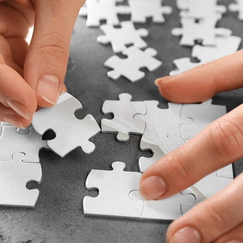 Funwares TP Hoarding Puzzle 1000 Piece Jigsaw Puzzle