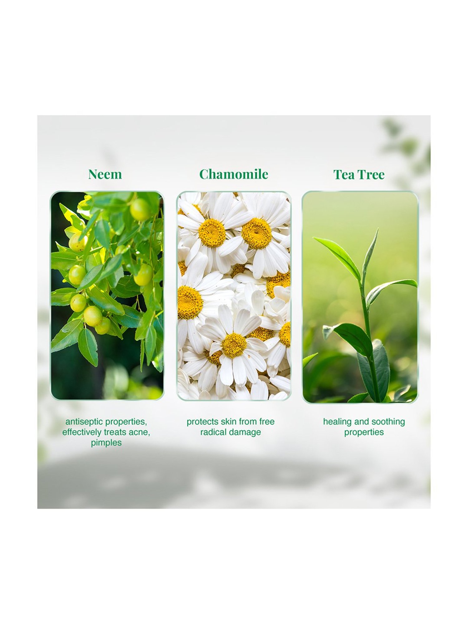 VLCC Skin Defense Neem Face Wash Buy 1 Get 1 Free - Pack of 3