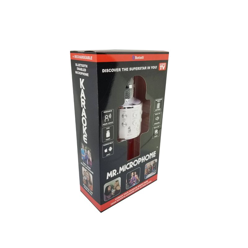 As Seen on TV Mr. Microphone