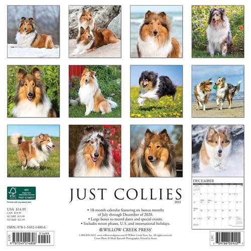 2021 Collies Wall