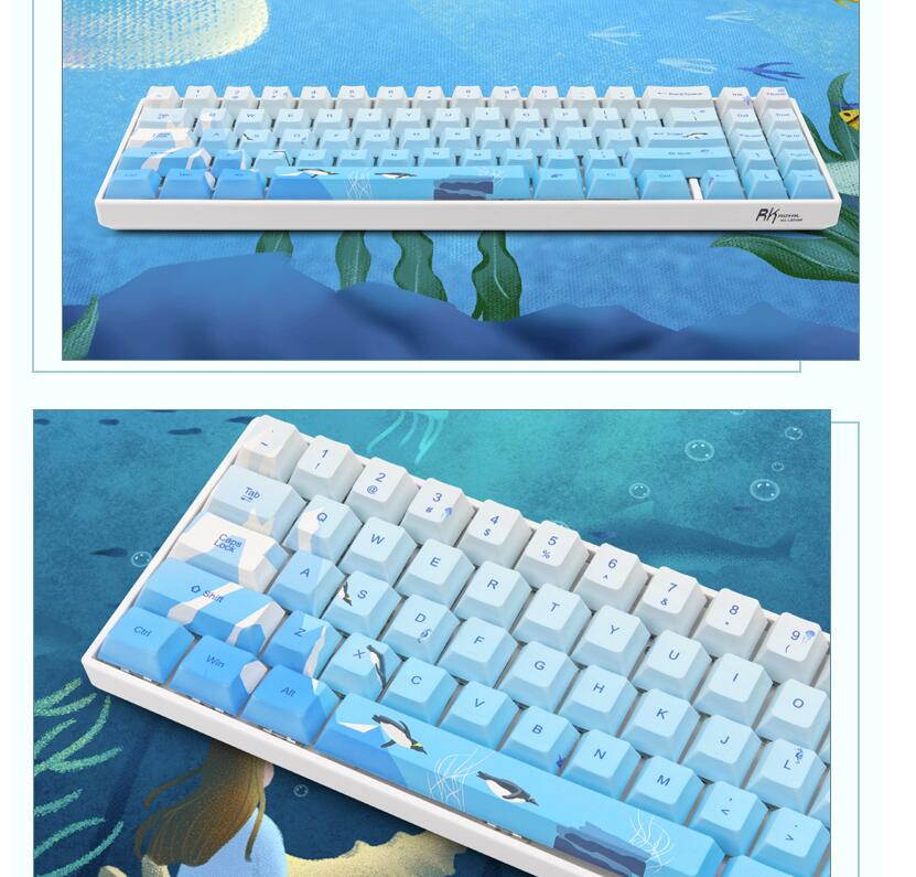 RK71 Mechanical Keyboard RGB Backlit 71 Keys Small Compact Gaming Keyboard, PBT Keycaps Wired/Wireless Bluetooth Mini Keyboard for iOS Android Windows PC and MacOS, Blue Switch( Cherry Blossom)