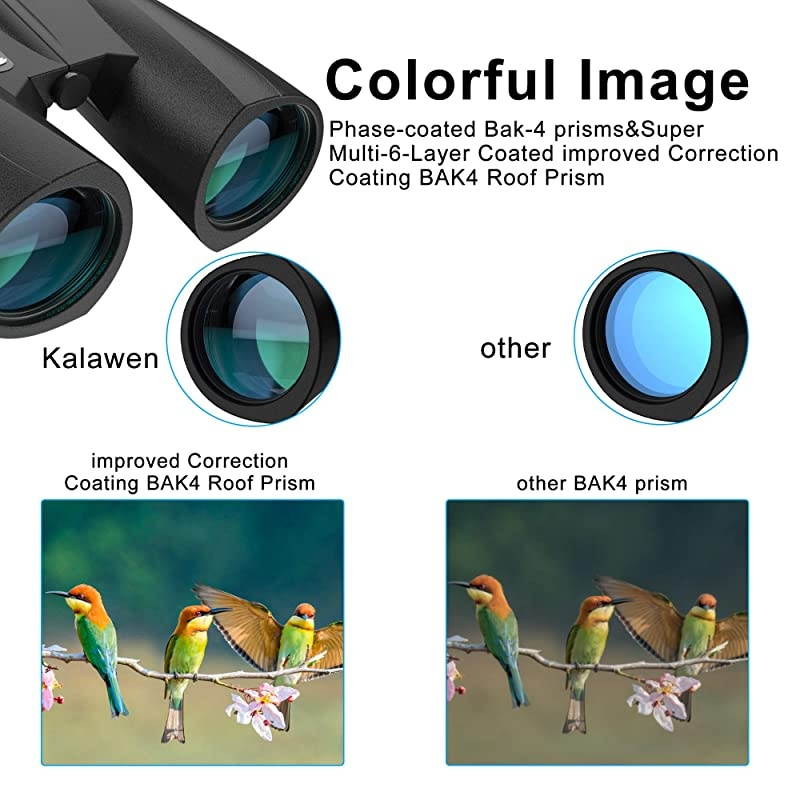 10x42 Binoculars for Adults Compact Waterproof Fog-Proof Binoculars for Bird Watching Concert Hunting Traveling Sports-BAK4 Prism SMC Lens-with Phone Mount Strap Carrying Bag