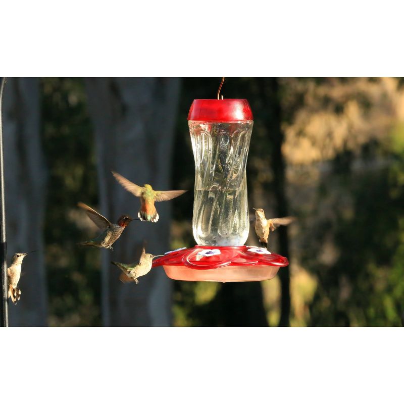 Droll Yankees More Birds Orion Hummingbird Feeder - Red/White