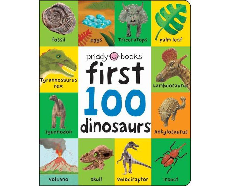 Pillow - by  Debora de Santanna (Hardcover)