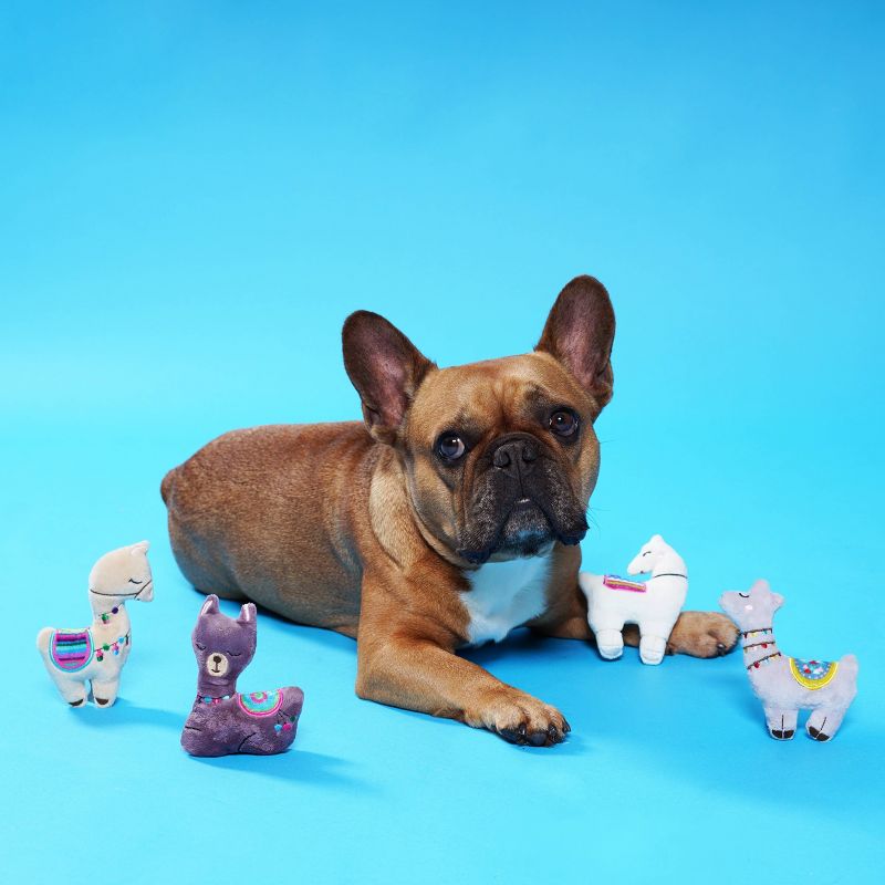 PetShop by Fringe Studio Lots of Llamas to Love Mini Dog Toy Set - Gray - 4pk