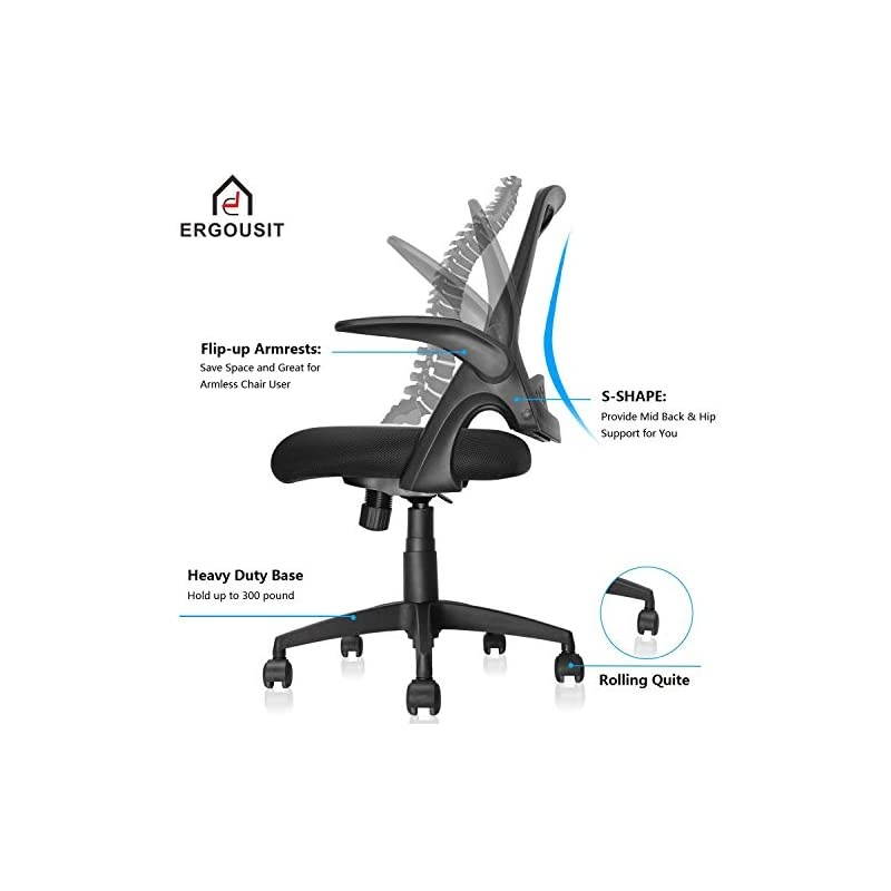 Chair, Computer Desk Chair with Ergonomic Back Support and Thick Cushion, Mid Back Task Chairs with Flip-up Arms, Hold up to 300LBS, 5-Years Warranty (one Size, Black1)
