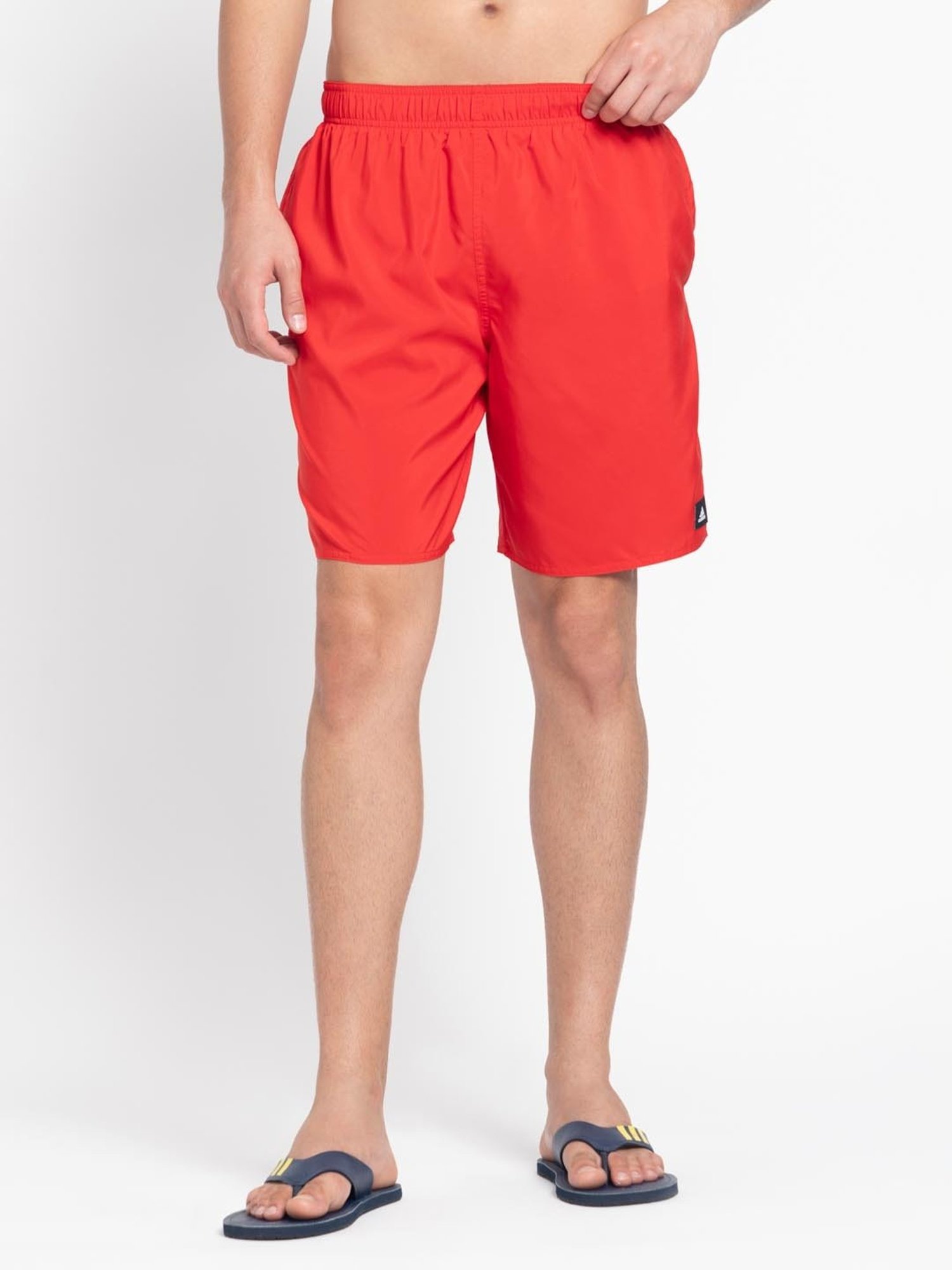 Speedo Watermelon Regular Fit Printed Swim Shorts