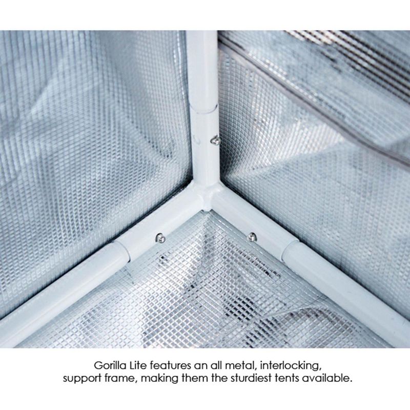 6' x 8' x 7' Nature Greenhouse Forest Green - Palram