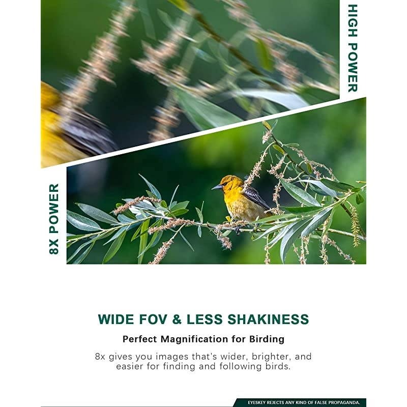 Bird Watching Binoculars for Adults Compact | Waterproof Fog Proof Binoculars for Outdoor Games Hunting | Clear LowLight Vision | Wide Field of View | Professional Sports Optics Black8X42