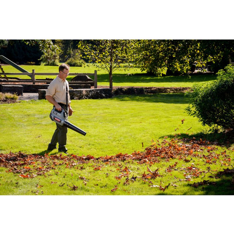 Oregon BL300 40V MAX Lithium-Ion Handheld Blower (Tool Only)