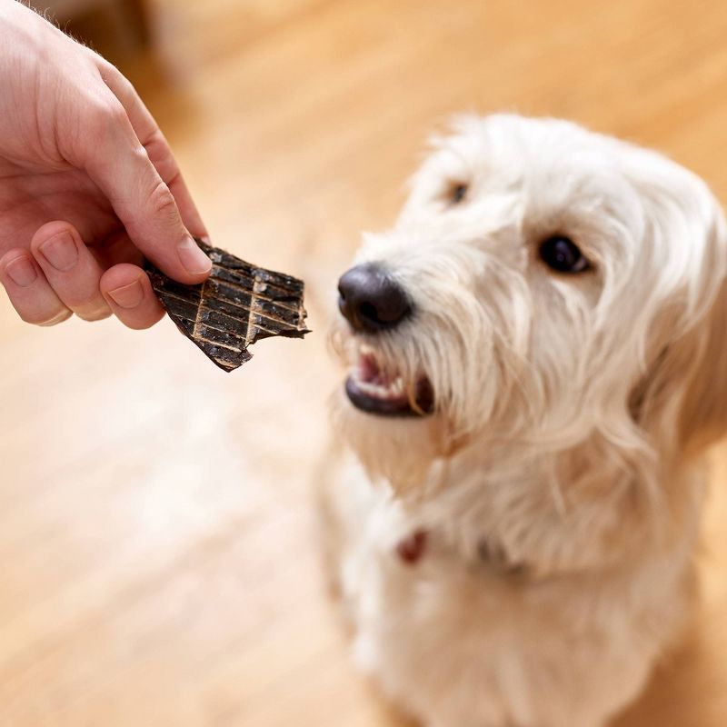 Rocco & Roxie Beef Liver Jerky Dog Treats - 16oz