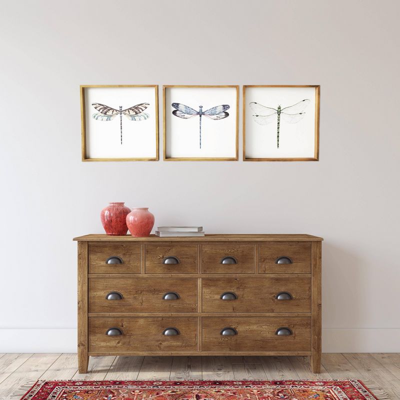 (Set of 3) 20" x 20" Dragonflies Wood Framed Wall Canvas - Gallery 57